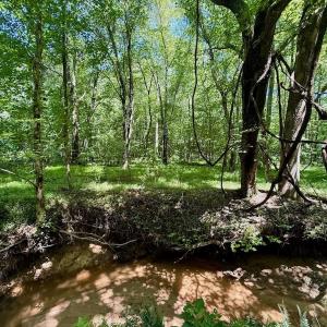 Photo #42 of Off Stone Drive, Roxboro, NC 40.8 acres