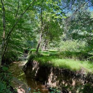 Photo #43 of Off Stone Drive, Roxboro, NC 40.8 acres