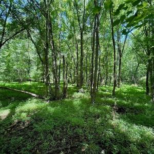 Photo #45 of Off Stone Drive, Roxboro, NC 40.8 acres
