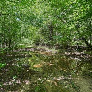 Photo #51 of Off Stone Drive, Roxboro, NC 40.8 acres
