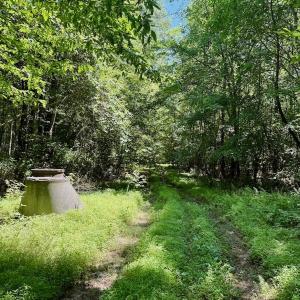 Photo #53 of Off Stone Drive, Roxboro, NC 40.8 acres