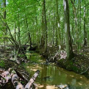 Photo #54 of Off Stone Drive, Roxboro, NC 40.8 acres