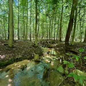 Photo #55 of Off Stone Drive, Roxboro, NC 40.8 acres