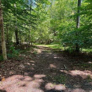 Photo #62 of Off Stone Drive, Roxboro, NC 40.8 acres
