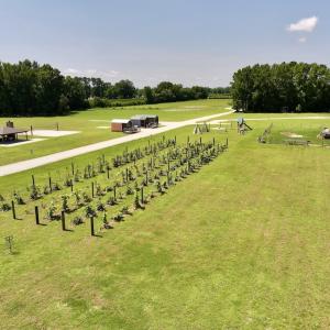 Photo #92 of 1020 Albrittons Road, Kinston, NC 33.0 acres