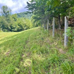 Photo #17 of Off Stewartsville Rd , Vinton, VA 17.5 acres