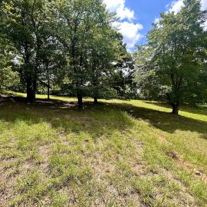 Photo #21 of Off Stewartsville Rd , Vinton, VA 17.5 acres