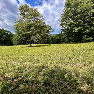 Photo #27 of Off Stewartsville Rd , Vinton, VA 17.5 acres