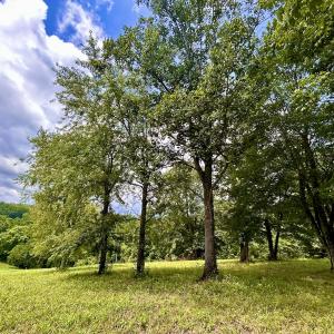 Photo #32 of Off Stewartsville Rd , Vinton, VA 17.5 acres
