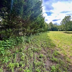 Photo #38 of Off Stewartsville Rd , Vinton, VA 17.5 acres