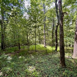 Photo #40 of Off Stewartsville Rd , Vinton, VA 17.5 acres
