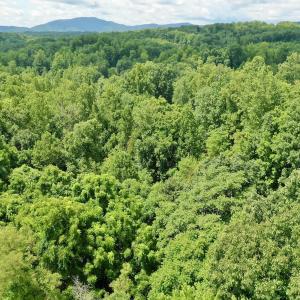 Photo #7 of Off Stewartsville Rd , Vinton, VA 17.5 acres