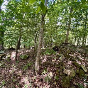 Photo #41 of Off Stewartsville Rd , Vinton, VA 17.5 acres