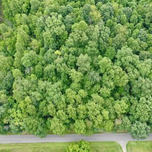 Photo #47 of Off Stewartsville Rd , Vinton, VA 17.5 acres