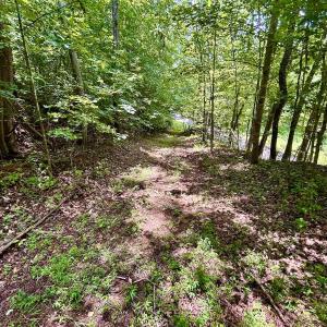 Photo #48 of Off Stewartsville Rd , Vinton, VA 17.5 acres