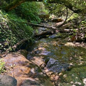Photo #49 of Off Stewartsville Rd , Vinton, VA 17.5 acres