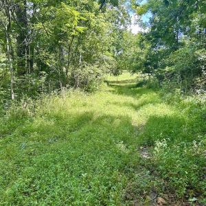 Photo #50 of Off Stewartsville Rd , Vinton, VA 17.5 acres
