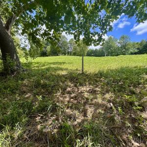 Photo #51 of Off Stewartsville Rd , Vinton, VA 17.5 acres