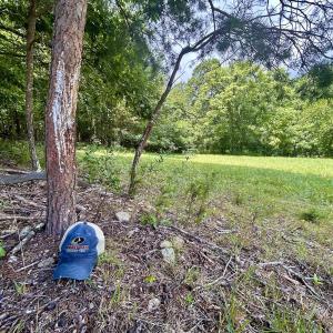 Photo #52 of Off Stewartsville Rd , Vinton, VA 17.5 acres