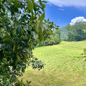 Photo #56 of Off Stewartsville Rd , Vinton, VA 17.5 acres