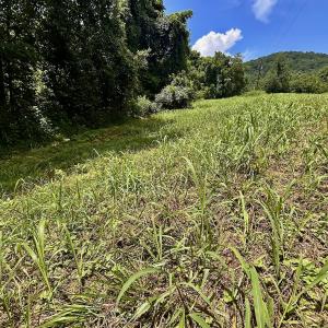 Photo #57 of Off Stewartsville Rd , Vinton, VA 17.5 acres