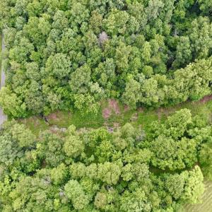 Photo #59 of Off Stewartsville Rd , Vinton, VA 17.5 acres