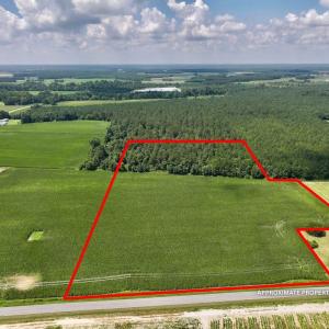 Photo #1 of 01 Vandiford Thomas Road, Snow Hill, NC 10.9 acres