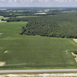 Photo #2 of 01 Vandiford Thomas Road, Snow Hill, NC 10.9 acres