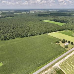 Photo #16 of 01 Vandiford Thomas Road, Snow Hill, NC 10.9 acres