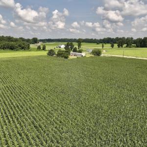 Photo #23 of 01 Vandiford Thomas Road, Snow Hill, NC 10.9 acres