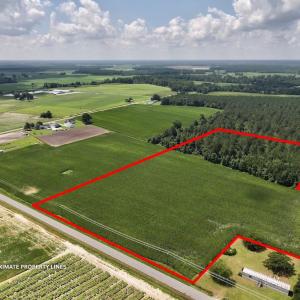 Photo #3 of 01 Vandiford Thomas Road, Snow Hill, NC 10.9 acres