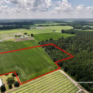 Photo #5 of 01 Vandiford Thomas Road, Snow Hill, NC 10.9 acres