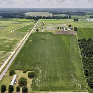 Photo #6 of 01 Vandiford Thomas Road, Snow Hill, NC 10.9 acres