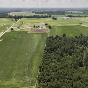 Photo #8 of 01 Vandiford Thomas Road, Snow Hill, NC 10.9 acres