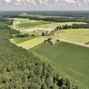 Photo #11 of 01 Vandiford Thomas Road, Snow Hill, NC 10.9 acres