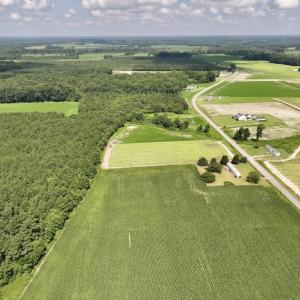 Photo #12 of 01 Vandiford Thomas Road, Snow Hill, NC 10.9 acres