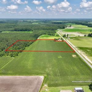 Photo #13 of 01 Vandiford Thomas Road, Snow Hill, NC 10.9 acres