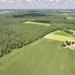 Photo #14 of 01 Vandiford Thomas Road, Snow Hill, NC 10.9 acres