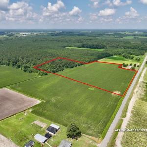 Photo #15 of 01 Vandiford Thomas Road, Snow Hill, NC 10.9 acres