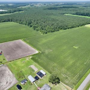 Photo #10 of 02 Vandiford Thomas Road, Snow Hill, NC 10.9 acres