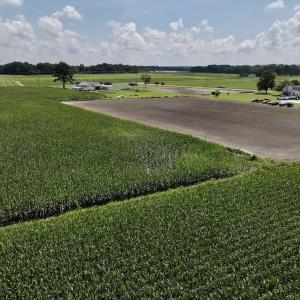 Photo #15 of 02 Vandiford Thomas Road, Snow Hill, NC 10.9 acres
