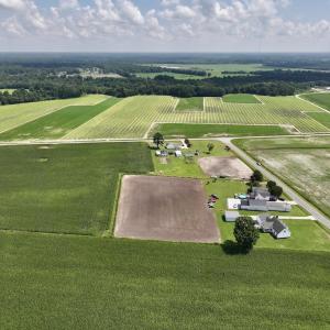 Photo #3 of 02 Vandiford Thomas Road, Snow Hill, NC 10.9 acres