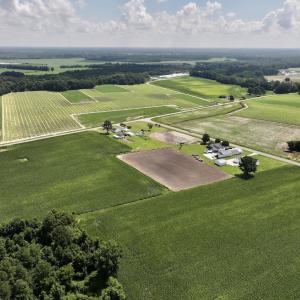 Photo #4 of 02 Vandiford Thomas Road, Snow Hill, NC 10.9 acres