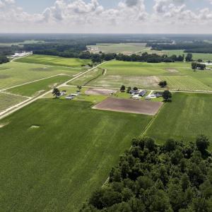 Photo #5 of 02 Vandiford Thomas Road, Snow Hill, NC 10.9 acres