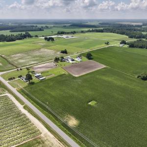 Photo #8 of 02 Vandiford Thomas Road, Snow Hill, NC 10.9 acres
