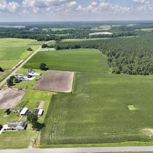 Photo #9 of 02 Vandiford Thomas Road, Snow Hill, NC 10.9 acres