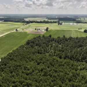 Photo #10 of 03 Albritton Road , Snow Hill, NC 11.4 acres
