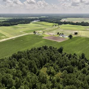Photo #11 of 03 Albritton Road , Snow Hill, NC 11.4 acres