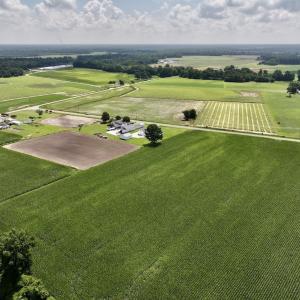 Photo #12 of 03 Albritton Road , Snow Hill, NC 11.4 acres