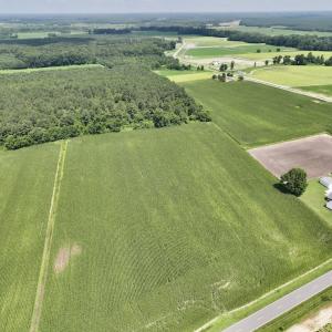 Photo #15 of 03 Albritton Road , Snow Hill, NC 11.4 acres
